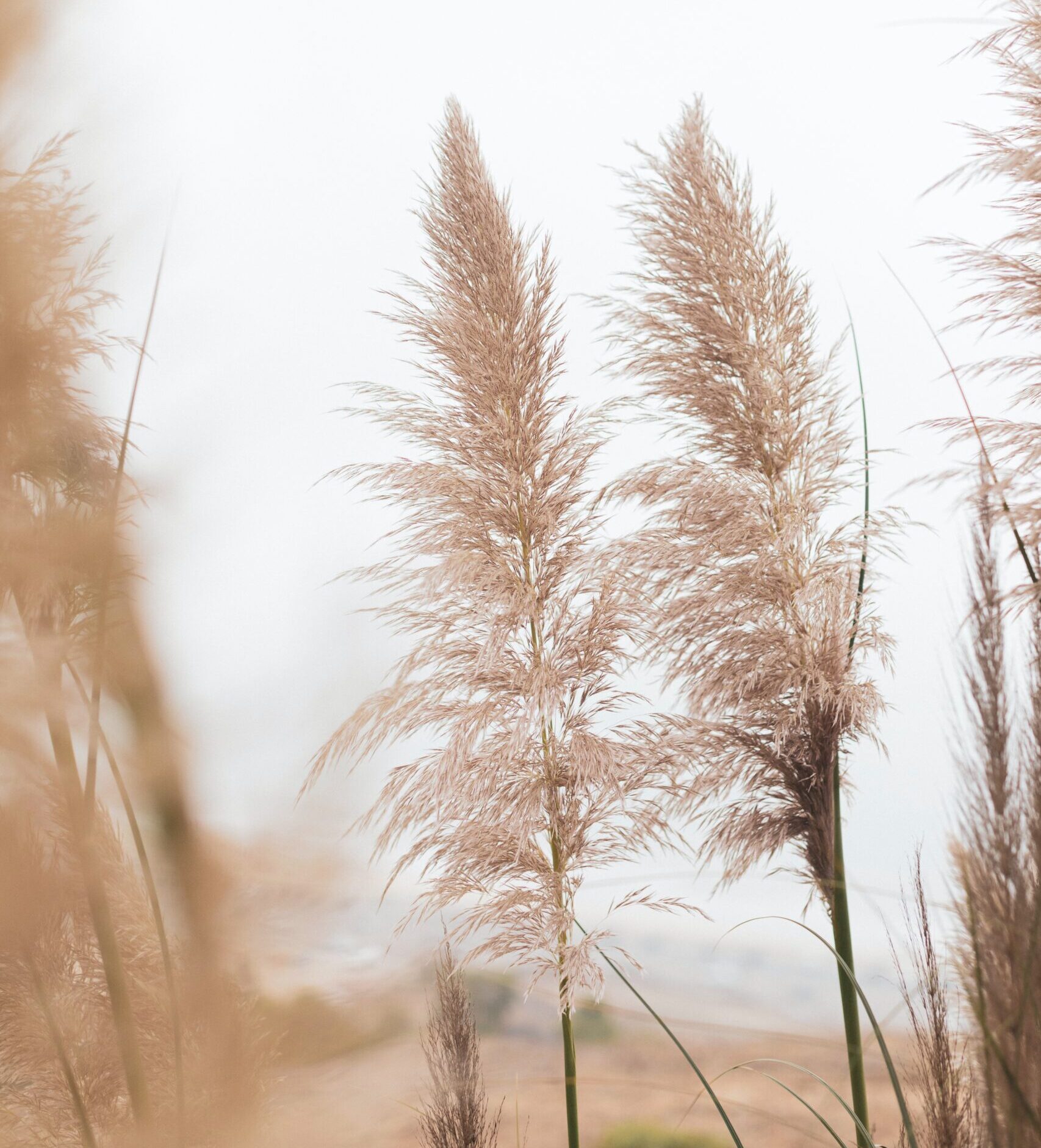 daniel-schludi-pYpOZMP43Cc-unsplash