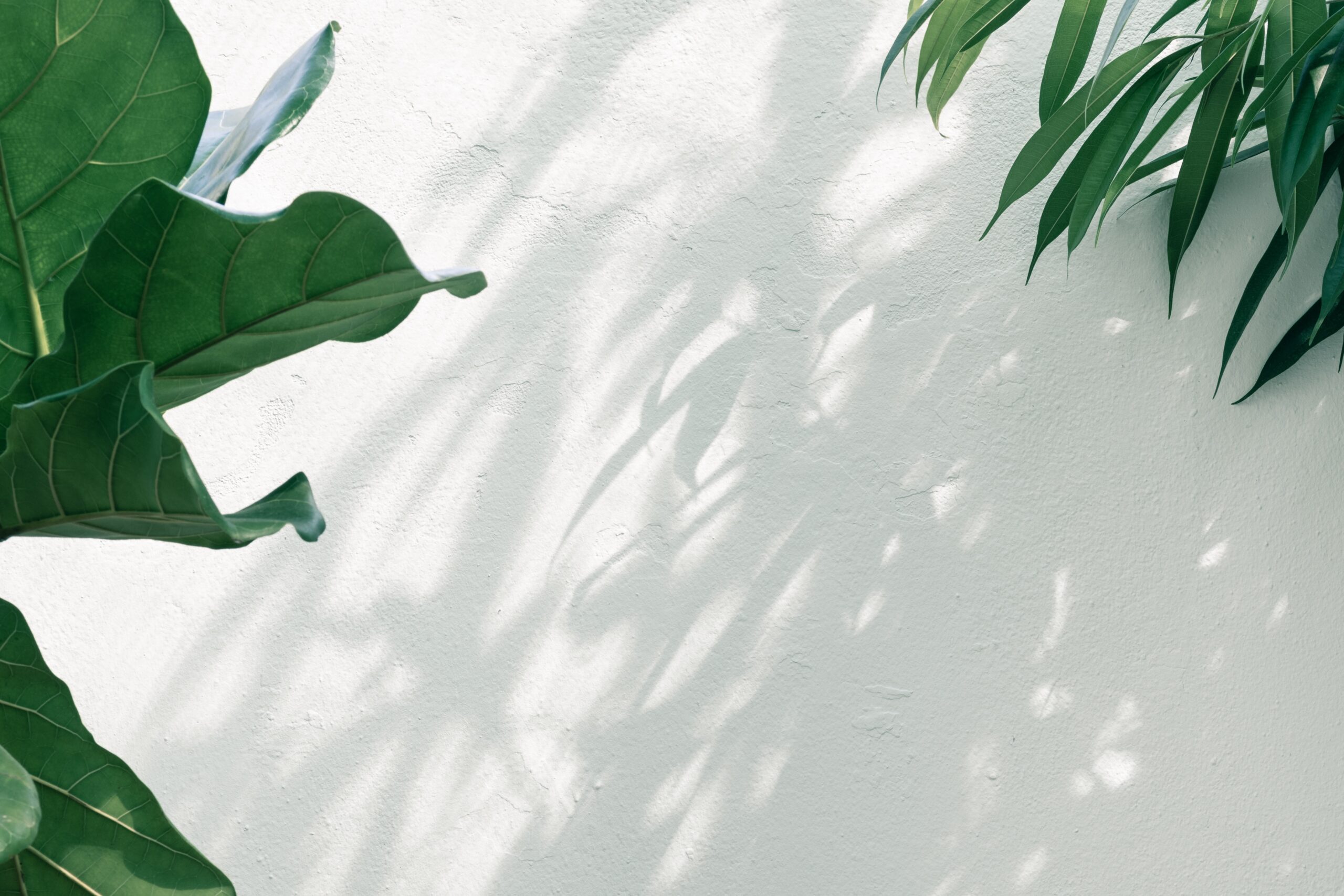 pawel-czerwinski-qzaIDFtzcZ0-unsplash