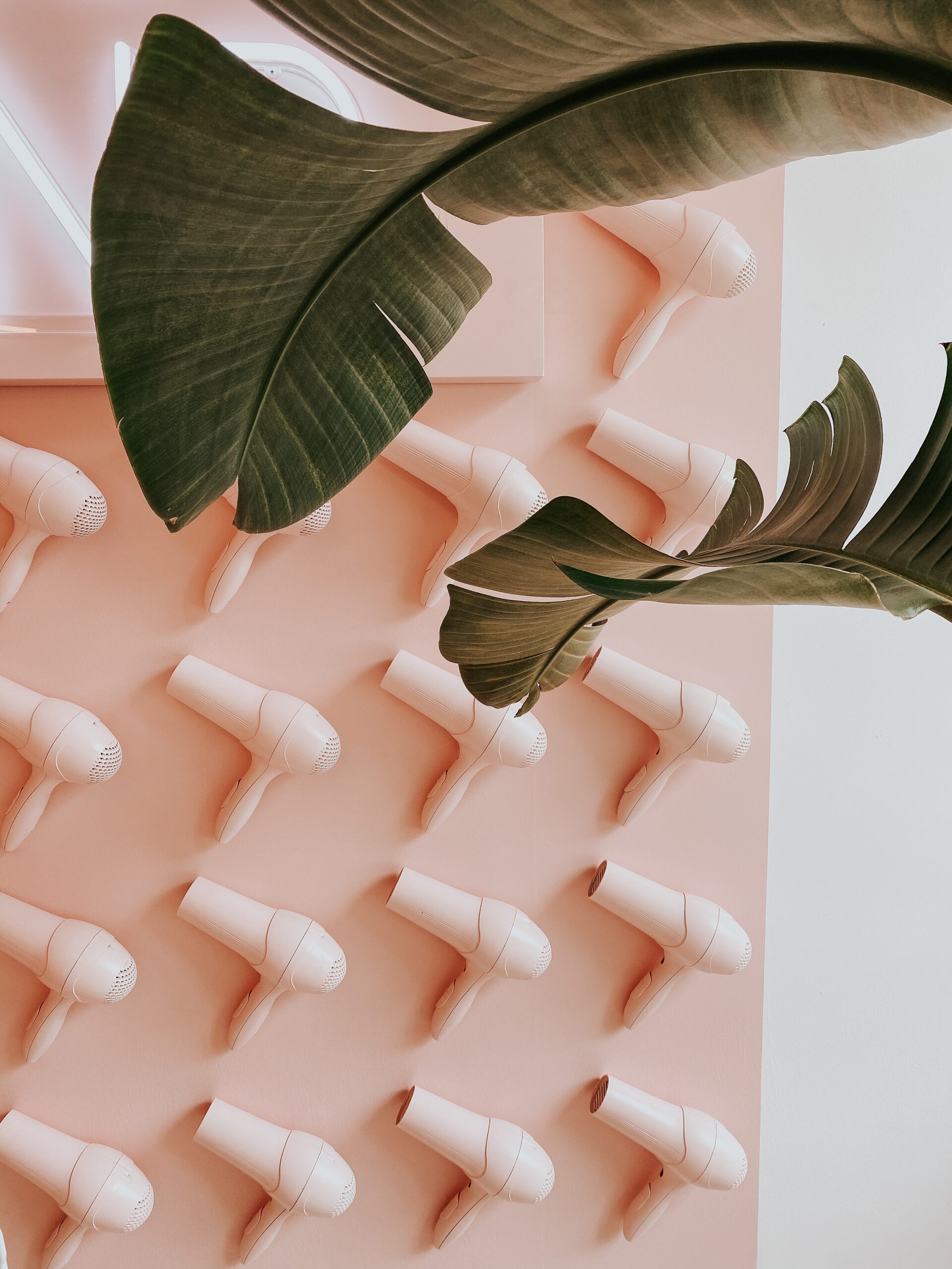 tessa-edmiston-xkYJqEno62c-unsplash